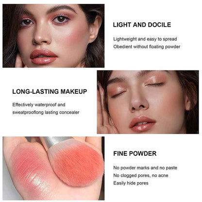 Carla Secret 12 Color Cream Concealer & Blush Palette